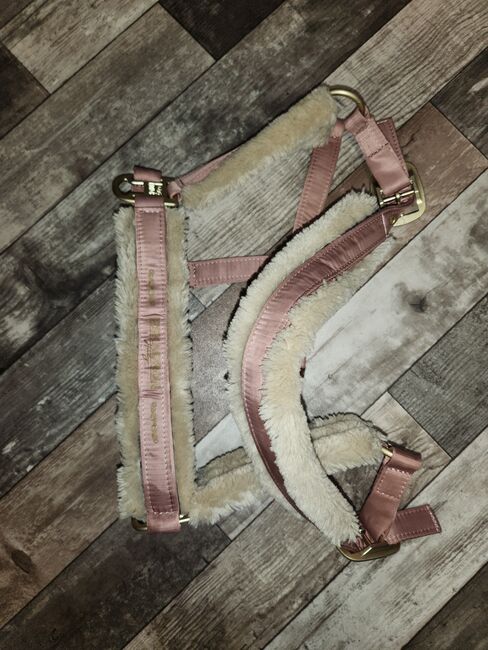Eskadron Heritage Set, Eskadron , Lilly , Dressage Pads, Friedeburg , Image 4