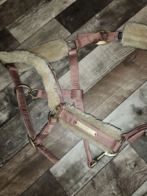 Eskadron Heritage Set, Eskadron , Lilly , Dressage Pads, Friedeburg , Image 2