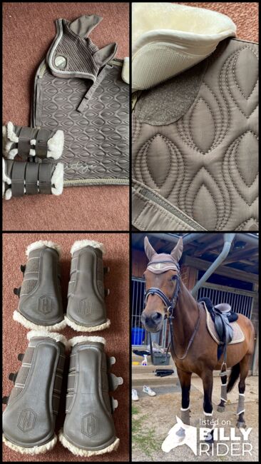 Eskadron Heritage Set Taupe, Eskadron, Sarah Hamfeld , Dressage Pads, Osnabrück , Image 5