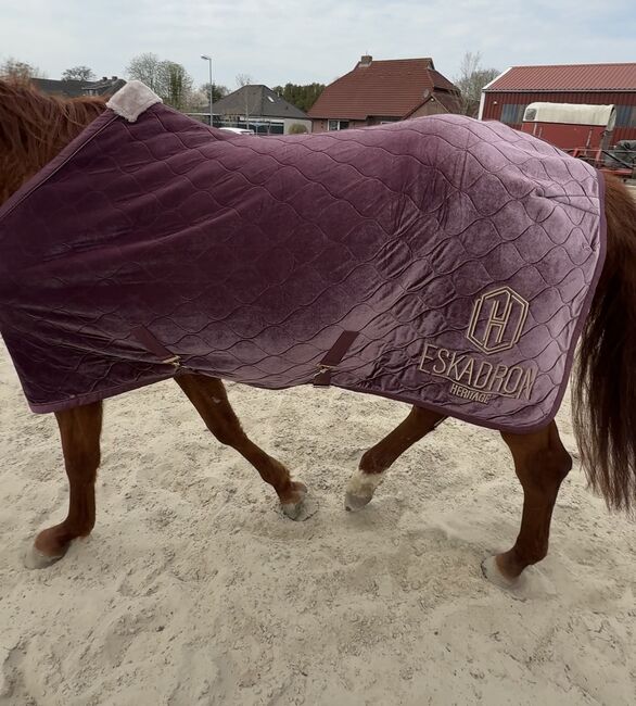 Eskadron Heritage Abschwitzdecke L 145cm, Eskadron Heritage, Gabriela Pohl, Horse Blankets, Sheets & Coolers, Aurich, Image 2