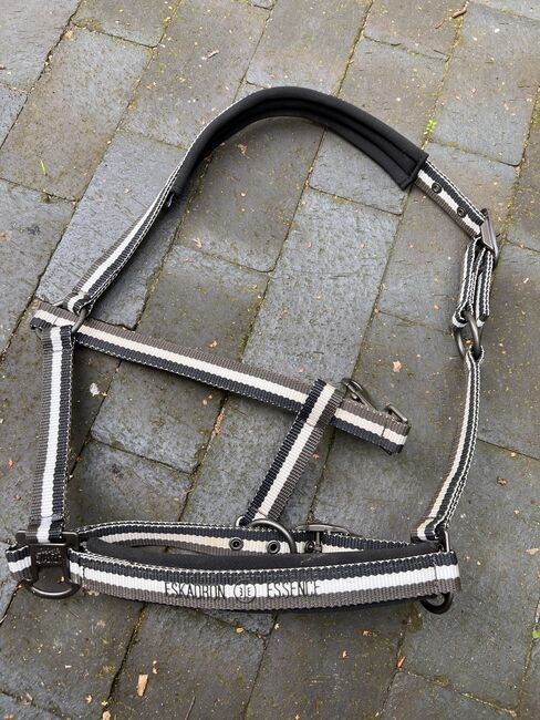 Eskadron Halfter WB, Pia B., Halters, Ahrensburg 