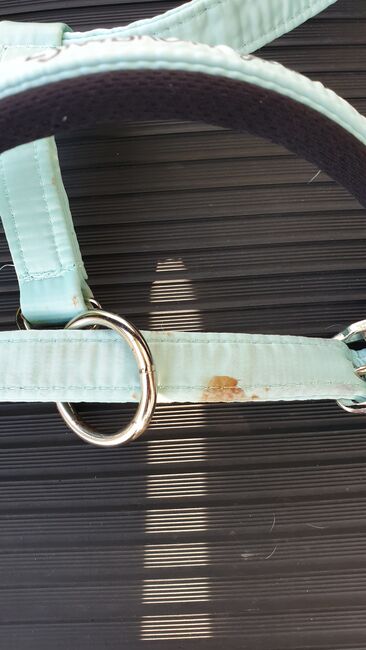 Eskadron Jade Halfter Gr. WB, Eskadron  Glossy, Juliane, Halters, Bayreuth , Image 2