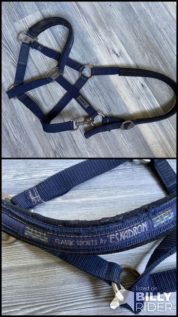 Eskadron Classic Sports Halfter, Eskadron  Classic Sports , Yvonne, Halters, Lindenfels, Image 3