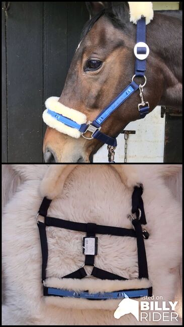 Eskadron Lammfellhalfter VB Cob WB Full Pony Halfter navy blau, Eskadron , Marie, Halters, Kerken, Image 3