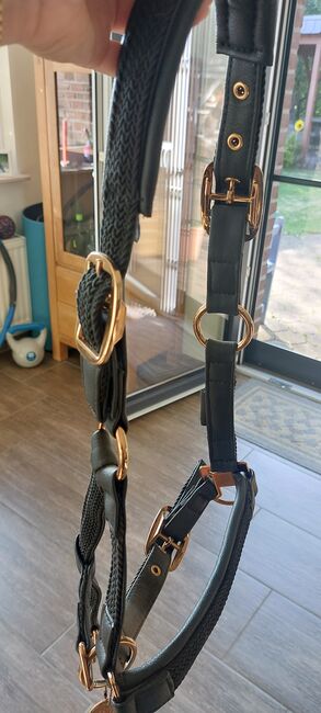 Halfter von Eskadron Leder, Eskadron, Verena Janßen , Halters, Straelen 
