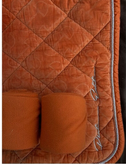 Eskadron Platinum Kollektion 19/20 vermillion orange, Eskadron, Mia Van, Dressage Pads, Münster, Image 2