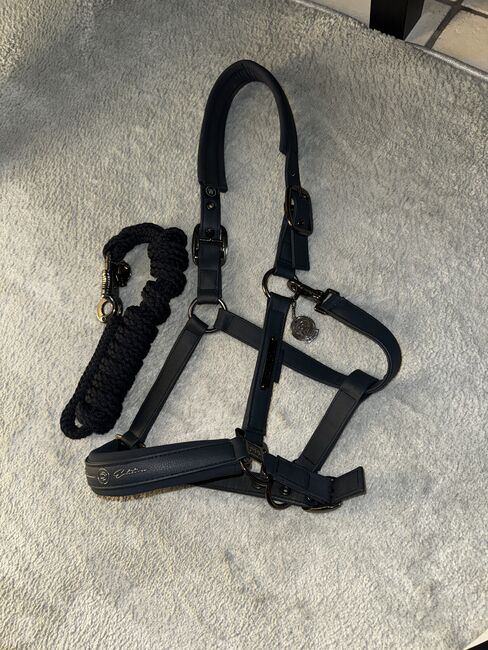 Eskadron Platinum Edition navy WB, Eskadron Platinum Edition, Franzi Landfried, Halters, Wettenberg