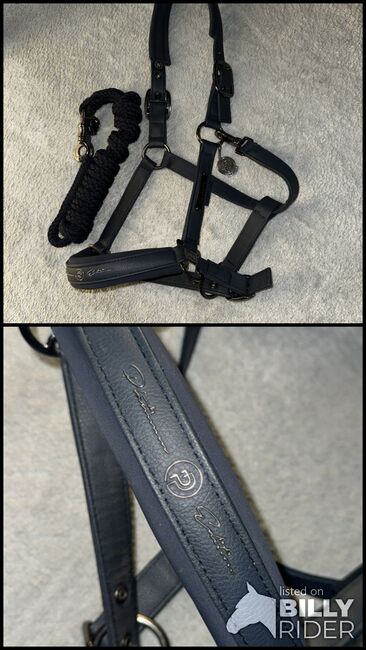 Eskadron Platinum Edition navy WB, Eskadron Platinum Edition, Franzi Landfried, Halters, Wettenberg, Image 3