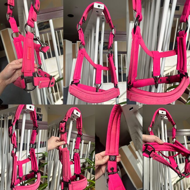 Eskadron Reflexx Pink 2021 Pony Set, Eskadron Reflexx, Jenny, Dressage Pads, Oyten, Image 3