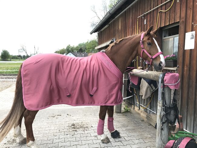 Eskadron Rouge set, Eskadron  Platinum 2021, Laura Hölzl, Dressage Pads, Fraunberg