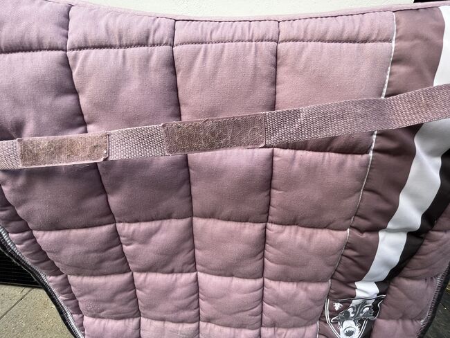 Eskadron Schabracke, Orchid Mauve, Dressur, DL, Rosa, HW2017, Eskadron, G. W., Dressage Pads, Dommershausen, Image 3