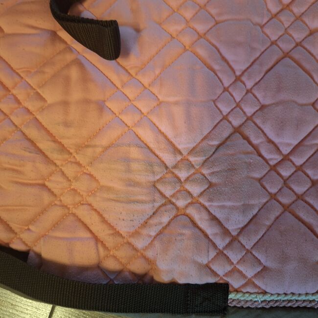 Eskadron Schabracke mit Bandagen und Fliegenhaube Pink Rosa, Eskadron , ADN, Dressage Pads, Duisburg, Image 4