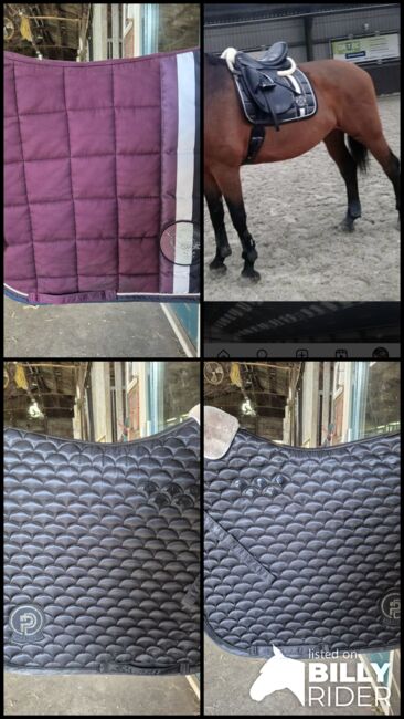 Eskadron Saddle pads / dressuur dekjes Full, Eskadron, Quinty, Schabracken, Purmerend, Abbildung 9