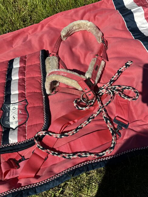 Eskadron Set Coral, Eskadron  Classic Sports, Theresa, For Horses, Bechhofen , Image 3