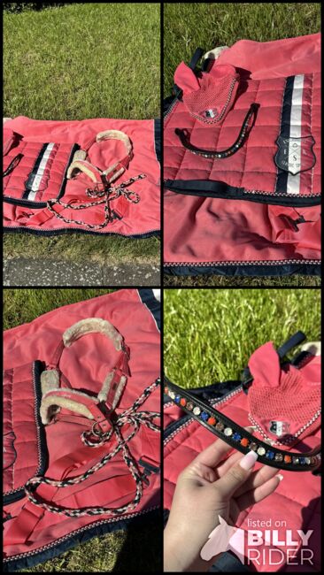 Eskadron Set Coral, Eskadron  Classic Sports, Theresa, For Horses, Bechhofen , Image 5
