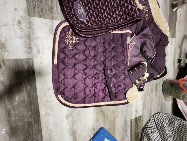 Eskadron Set, Eskadron , Maus , Horse Blankets, Sheets & Coolers, Friedeburg , Image 5