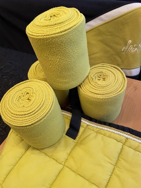 Eskadron Set, Eskadron insigniablue-lime Set aus der Eskadron Classic Sports Herbst/Winter 2016, Liane Meuren, Dressage Pads, Piesport, Image 3
