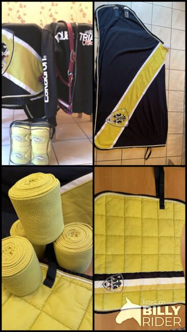 Eskadron Set, Eskadron insigniablue-lime Set aus der Eskadron Classic Sports Herbst/Winter 2016, Liane Meuren, Dressage Pads, Piesport, Image 7