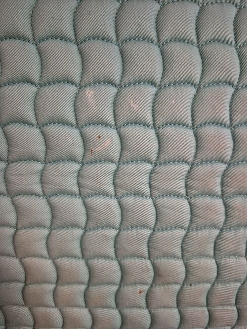 Eskadron Set mint WB Dressur, Eskadron Cotton, Marina, Schabracken, Sankt Augustin, Abbildung 3