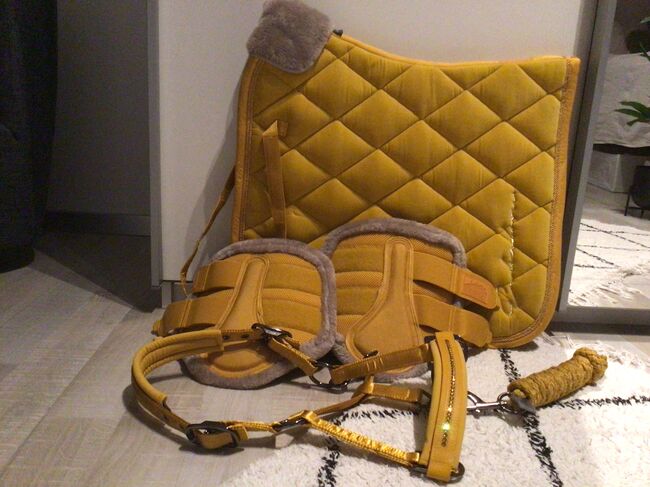 Eskadron Set vintage Gold Halfter& Strick, Schabracke,Gamaschen, Eskadron , Harper McLean , Dressage Pads, Nieder-Olm