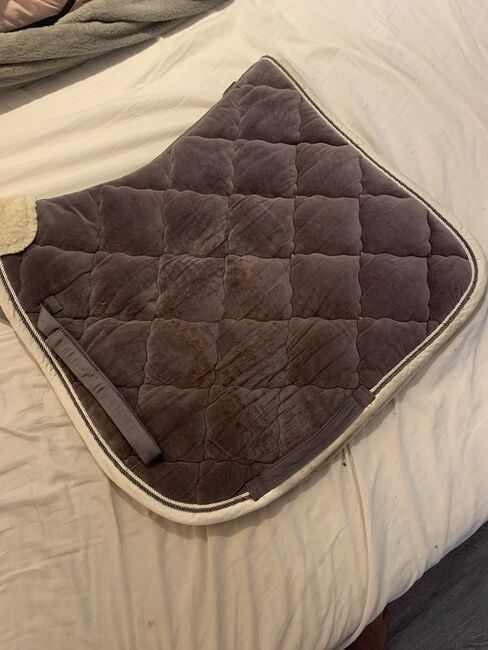 Eskadron Velvet Grey Crystal, Eskadron , Antonia Rossner , Dressage Pads, Düsseldorf, Image 4