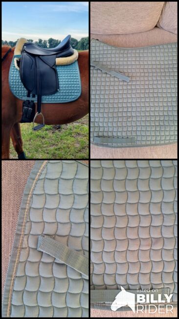 Eskadron Schabracke DL Balsamgreen, Eskadron Classic Sports FS21 Cotton Balsamgreen, Gina, Dressage Pads, Lamstedt, Image 9