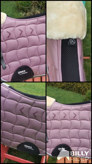 Eskadron Schabracke Flieder lila rosa Glossy DL mit Evo Wool, Eskadron, Franziska, Dressage Pads, Volsemenhusen, Image 7