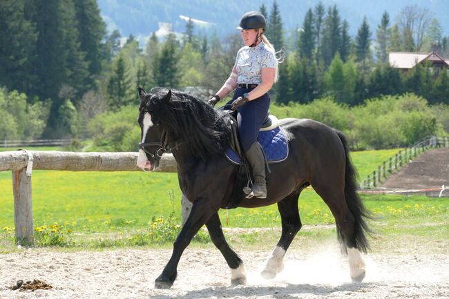 Ein Hingucker mit Klasse, Irene Zimmermann, Horses For Sale, Ramsau am Dachstein, Image 2