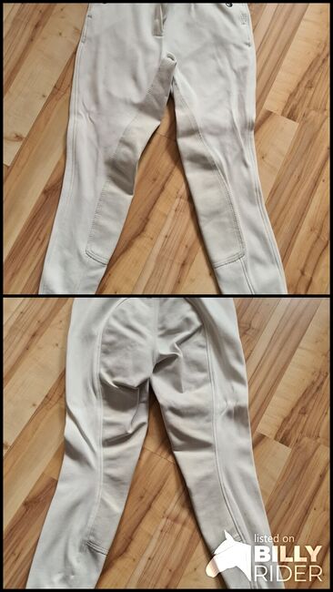 Turnierreithose Euro Star, Euro Star , Laura Koch , Breeches & Jodhpurs, Artern, Image 3