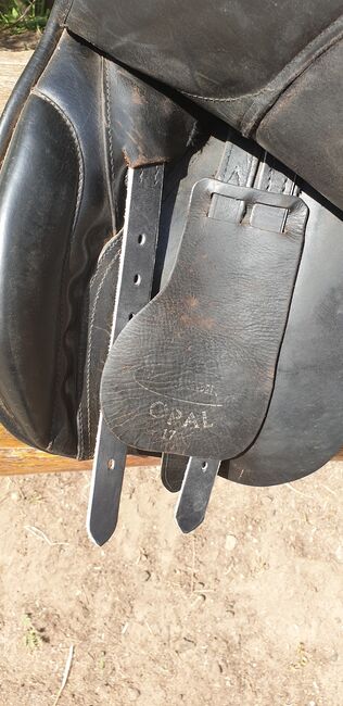 Eurording Opal VS, Eurording  Opal , Sandra , All Purpose Saddle, Rendsburg, Image 8