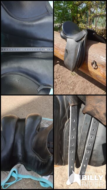 Eurording Opal VS, Eurording  Opal , Sandra , All Purpose Saddle, Rendsburg, Image 14