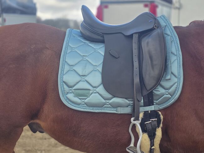 Euroriding Achat Dressursattel inkl Zubehör, Euroriding  Ach, Sabrina , Dressage Saddle, Kempen