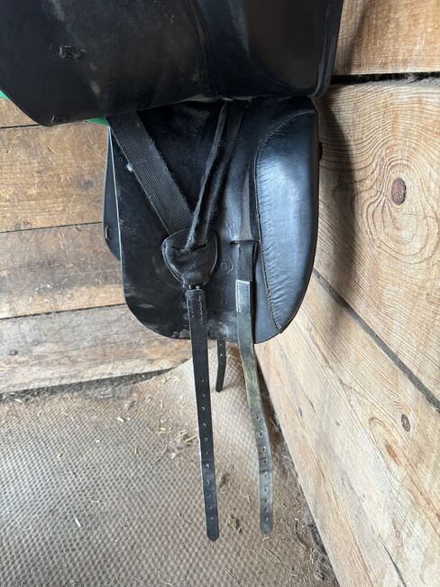 Euroriding Achat, Euroriding  Achat, Domi, Dressage Saddle, Stolzenau Anemolter-Schinna, Anemolter, Image 2