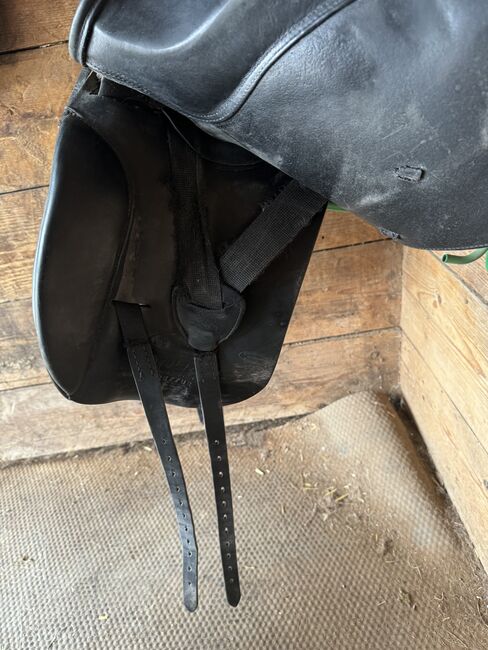 Euroriding Achat, Euroriding  Achat, Domi, Dressage Saddle, Stolzenau Anemolter-Schinna, Anemolter, Image 5