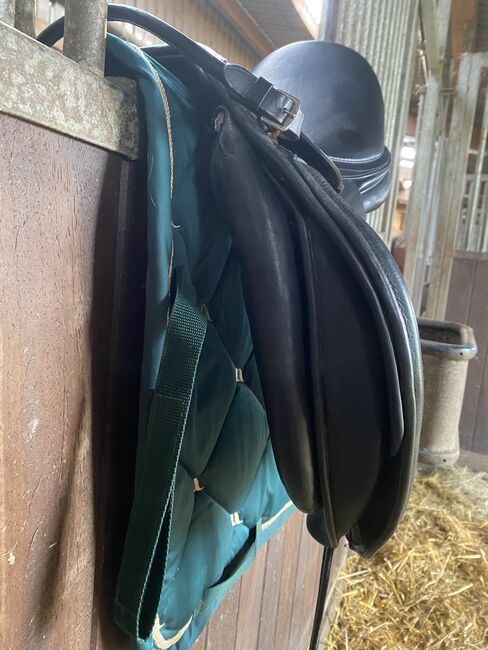 Euroriding Achat, Euroriding Achat, Franciska Heinze, Dressage Saddle, Cuxhaven, Image 8