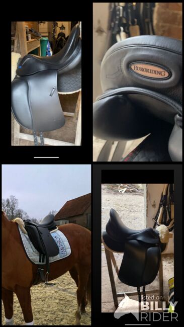 Euroriding by Presige Dressursattel, Presige  Emilio , Heidi Möller , Dressage Saddle, Blomberg , Image 5