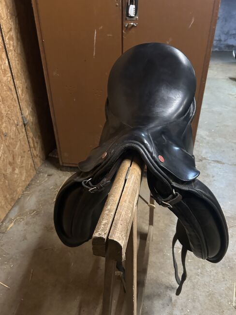 Euroriding Diamant 17“, Euroriding Diamant , Maier, Dressage Saddle, Sinzig, Image 4