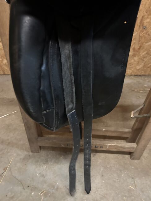 Euroriding Diamant 17“, Euroriding Diamant , Maier, Dressage Saddle, Sinzig, Image 6