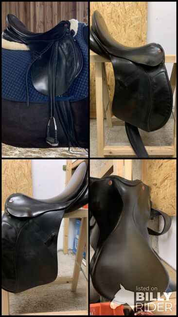 Euroriding Diamant VSD, Euroriding Diamant, Sophie Schott, All Purpose Saddle, Frücht, Image 6