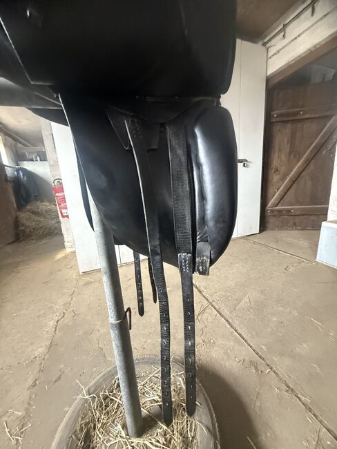 Euroriding Dressursattel (roter Punkt), Euroriding Diamant, Nina, Dressage Saddle, Oelde, Image 5