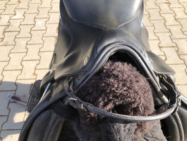 EuroRiding Dressursattel, EuroRiding, Kronwitter Petra , Dressage Saddle, Mainbernheim, Image 6