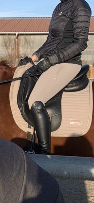 Euroriding Emilio by Prestige 17“, Euroriding by Prestige Emilio K, Jasmin, Dressage Saddle, Neutz-Lettewitz, Image 2