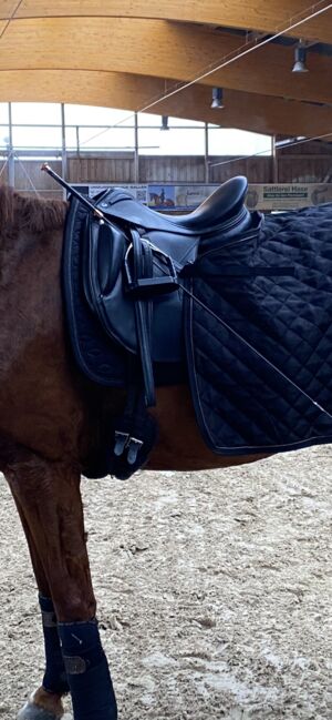 Euroriding Emilio by Prestige 17“, Euroriding by Prestige Emilio K, Jasmin, Dressage Saddle, Neutz-Lettewitz