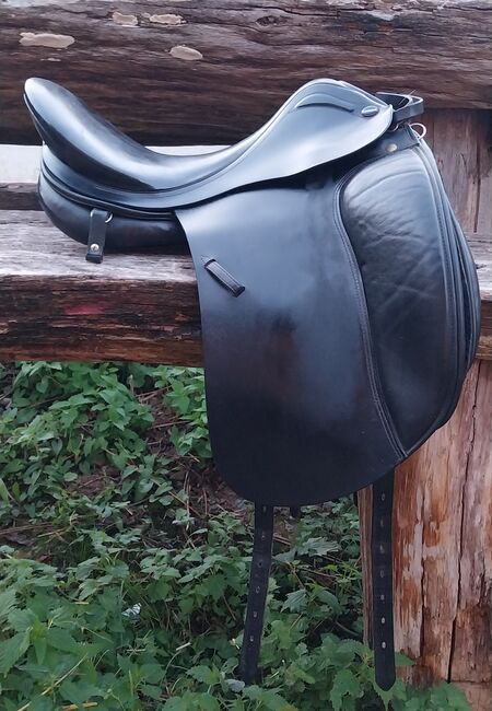 Euroriding Emilio by Prestige, Euroriding Prestige  Emilio, Daniela Heigenhauser, Dressage Saddle, Tübingen, Image 2