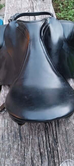 Euroriding Emilio by Prestige, Euroriding Prestige  Emilio, Daniela Heigenhauser, Dressage Saddle, Tübingen, Image 4