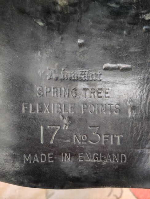 Vielseitigkeitssattel Euroriding, Euroriding  Diamant Spring Tree, Charlotte Seifried , All Purpose Saddle, Wilhelmsdorf , Image 6