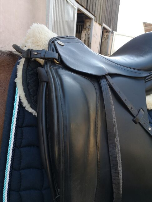 Euroriding Granat Dressursattel 17 Zoll kurze Auflage, Euroriding  Granat , Jenny, Dressage Saddle, Rotenburg 