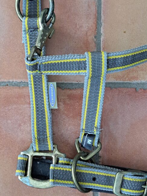Euroriding Halfter Führstrick, Euroriding, Equest, Kerstin Stop , Halters, Damsdorf , Image 3