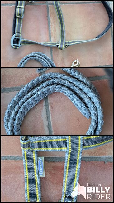 Euroriding Halfter Führstrick, Euroriding, Equest, Kerstin Stop , Halters, Damsdorf , Image 4
