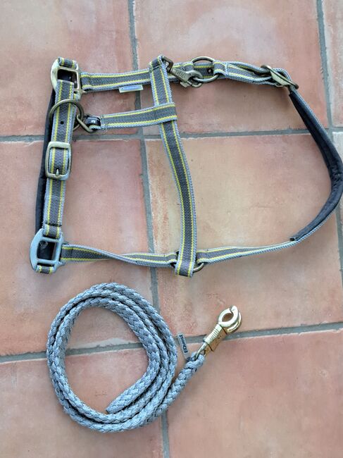 Euroriding Halfter Führstrick, Euroriding, Equest, Kerstin Stop , Halters, Damsdorf 